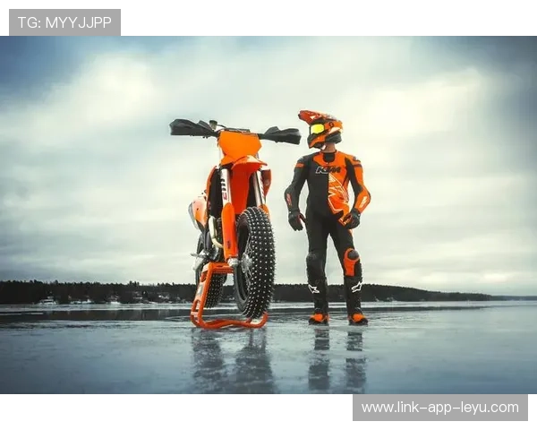 越野赛车在复杂路段进行测试,悬挂表现稳定 越野赛车在复杂路段进行测试,悬挂表现稳定